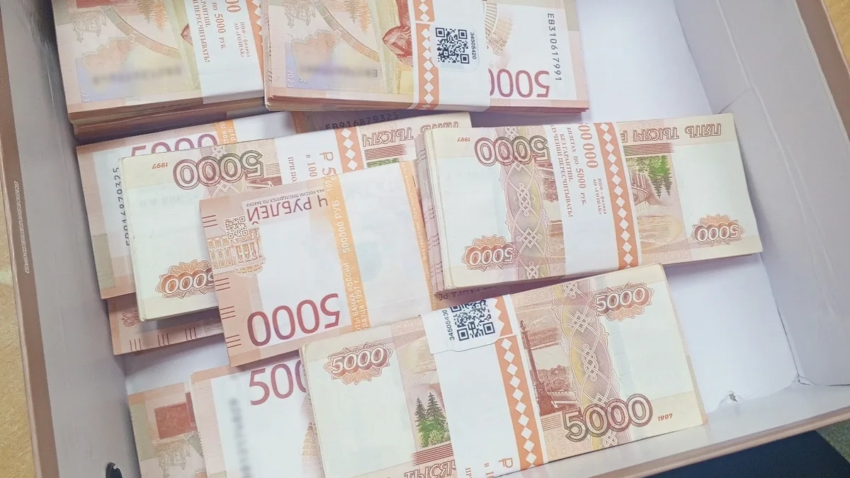 «Курьер» с коробкой денег: в Кургане задержан участник мошеннической схемы на 5,8 млн рублей