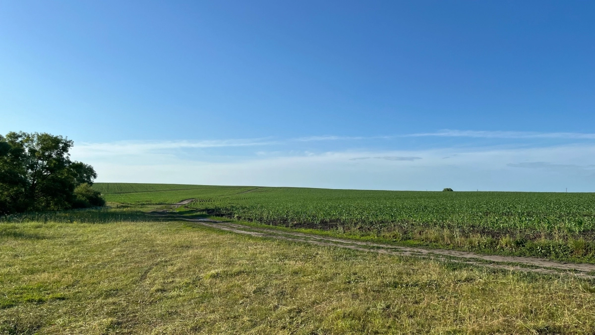 До +15°C потеплеет в Курганской области уже в эти выходные