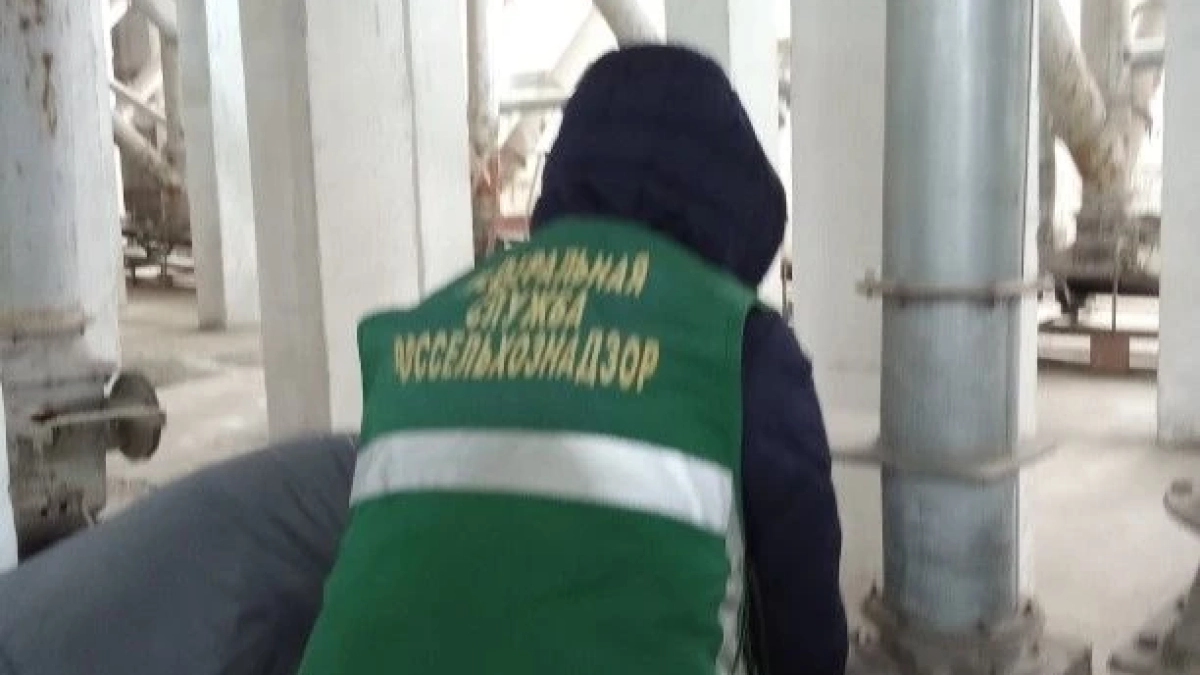 Без проверки на пестициды: Россельхознадзор заблокировал крупную партию гороха