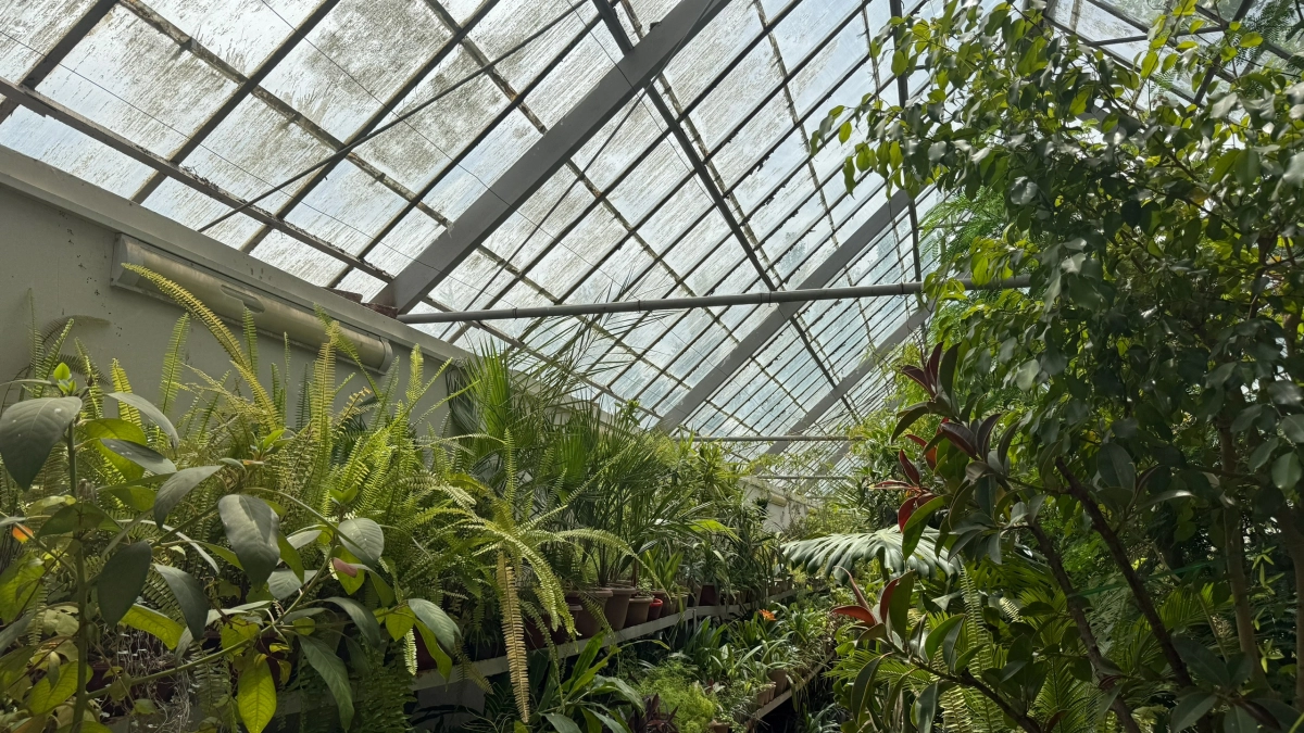 Подсмотрел, как финны строят теплые теплицы и сделал также: второй год не нарадуюсь - внутри стабильные 20 даже при холодном лете