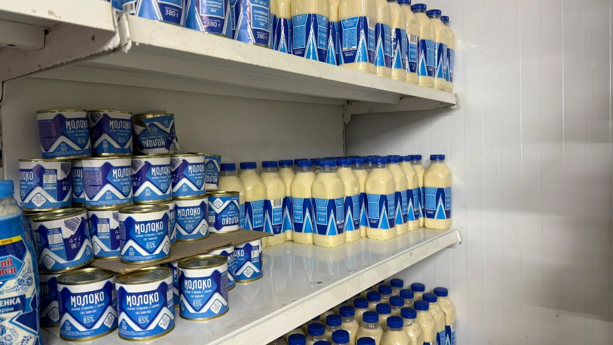 Заскочил на минутку в "Светофор", а вернулся с бассейном за 567 р., шикарным шлангом за 459 р. и сгущенкой - делюсь находками и покупками