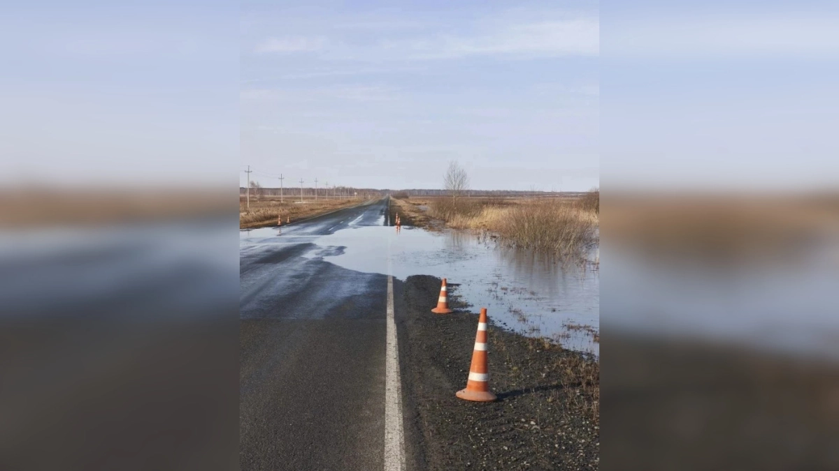 Участок трассы Курган — Куртамыш временно ограничен из-за подтопления