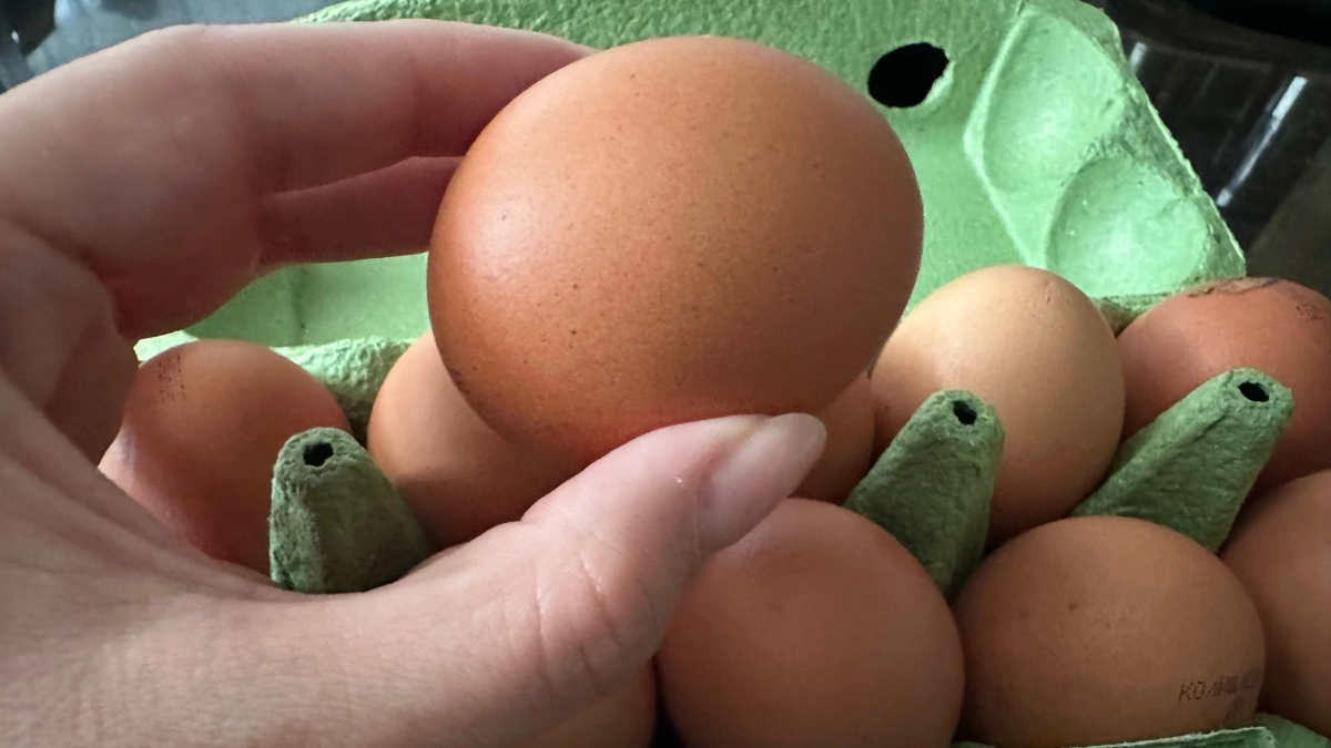 Знакомая с птицефабрики рассказала, почему крупные яйца не стоит брать на Пасху - что с ними не так?