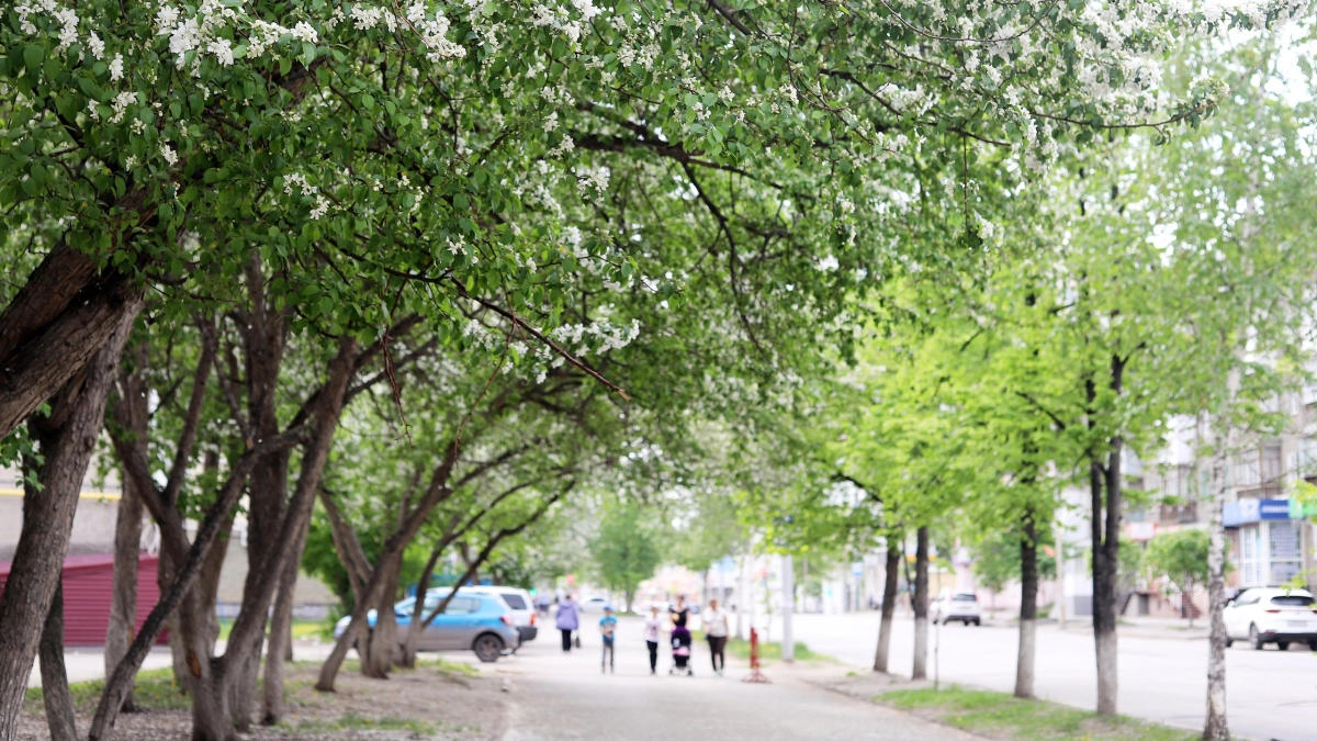 Курган установил новый температурный рекорд
