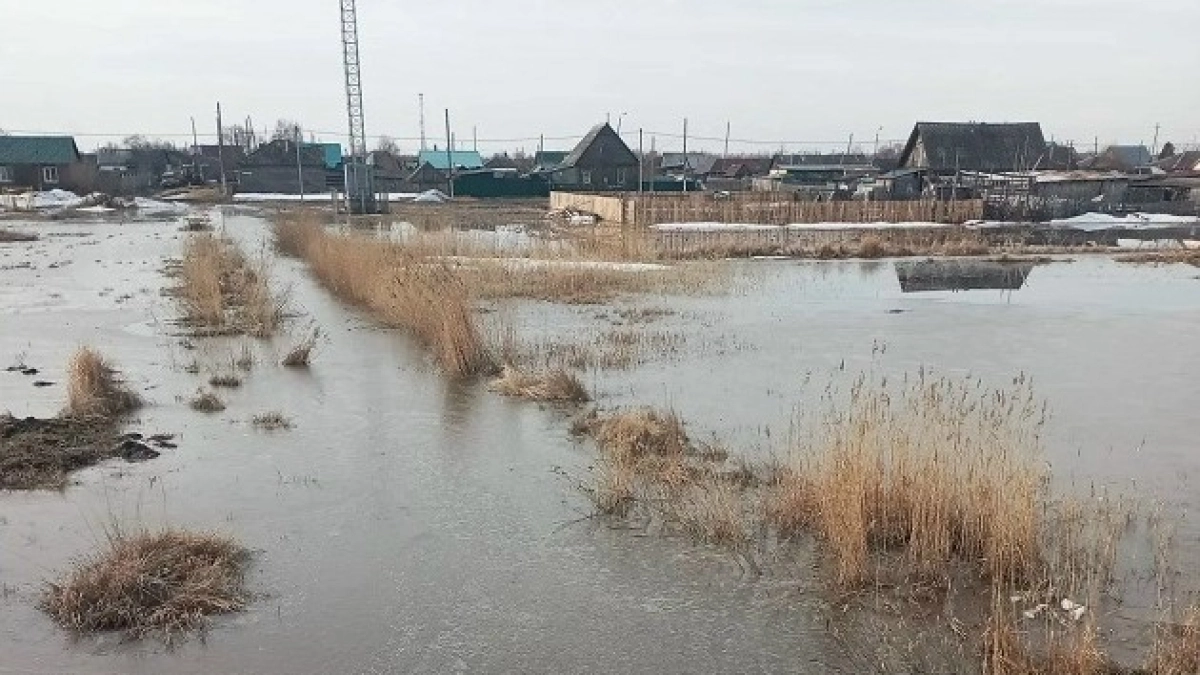 Вода вошла в одно из курганских сёл: затоплено три улицы