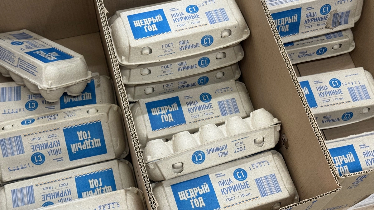 Какие яйца точно нельзя брать в супермаркетах: даже если дорогие и свежие - об этом мало кто знает