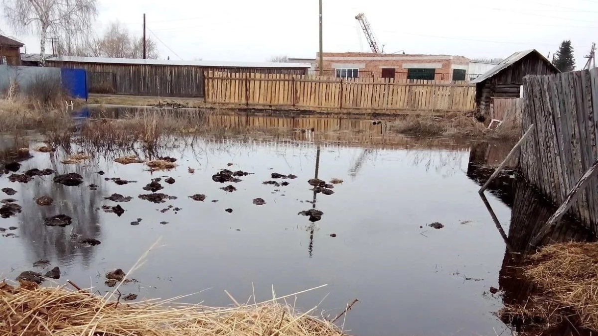 "В день по 300 вёдер вытаскиваем!": жители курганского села Белозерское в отчаянии из-за потопа