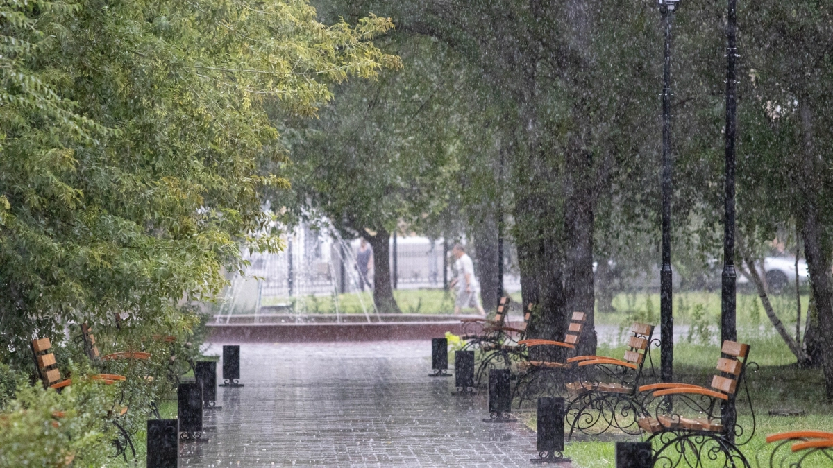 В конце недели на Курганскую область обрушатся дожди