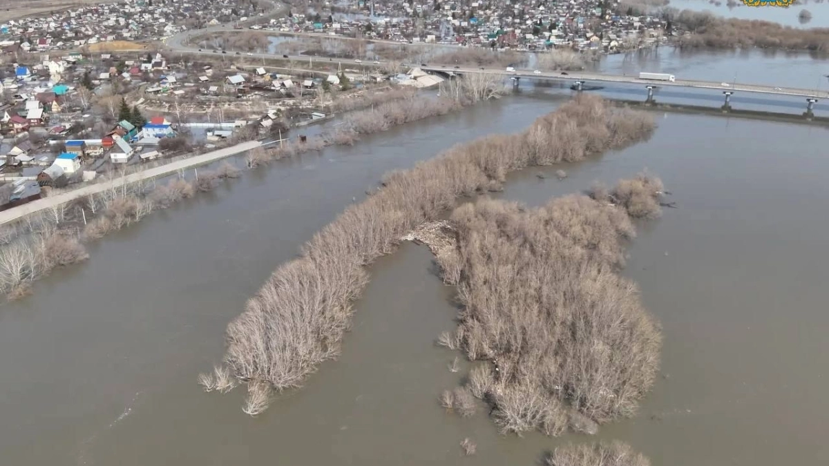 "Уй наступает?": одна из рек Курганской области разлилась на километры