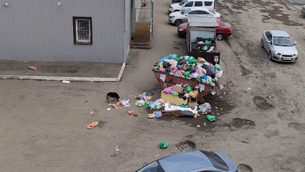 "Живём как на свалке": курганцы в ужасе от гор мусора на Луначарского