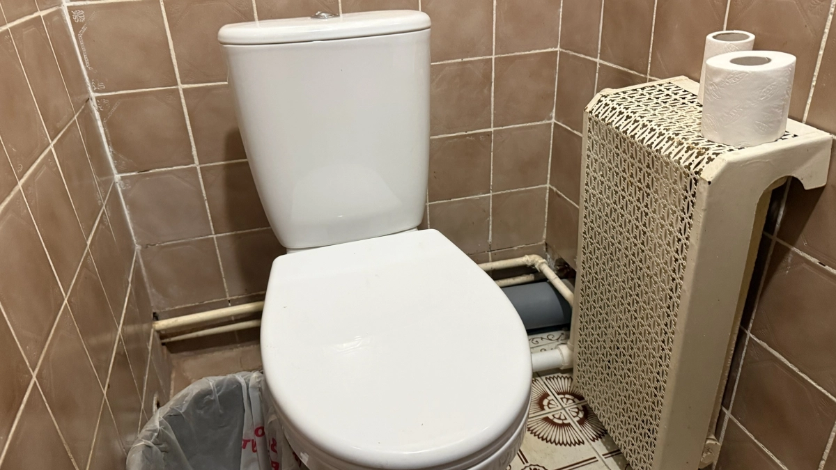 Чтобы в туалете всегда хорошо пахло: хитрый лайфхак с содовыми "шашками" - работает в разы лучше аэрозолей