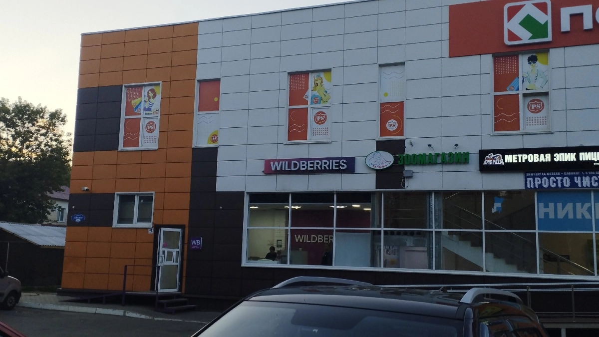 Насмотрелась роликов про тюльпаны: и купила себе на Вайлдберриз сразу на 1000 руб - но вот что взошло на выходе