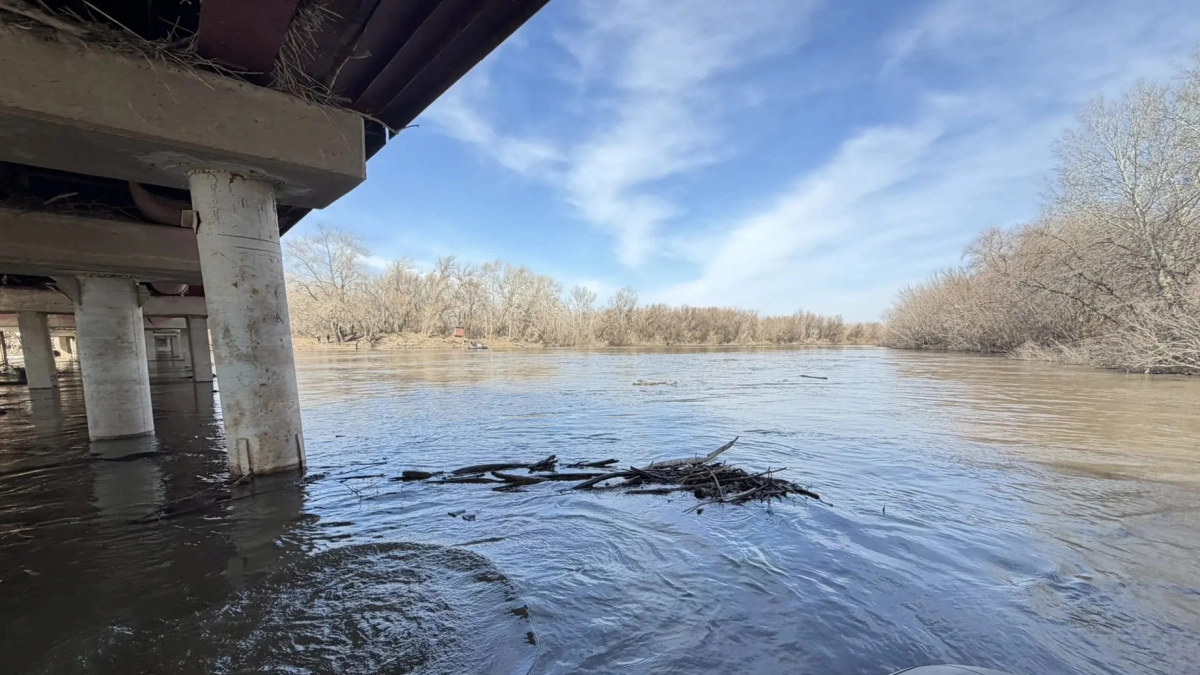 Стало известно, в каких районах Курганской области пройден пик половодья