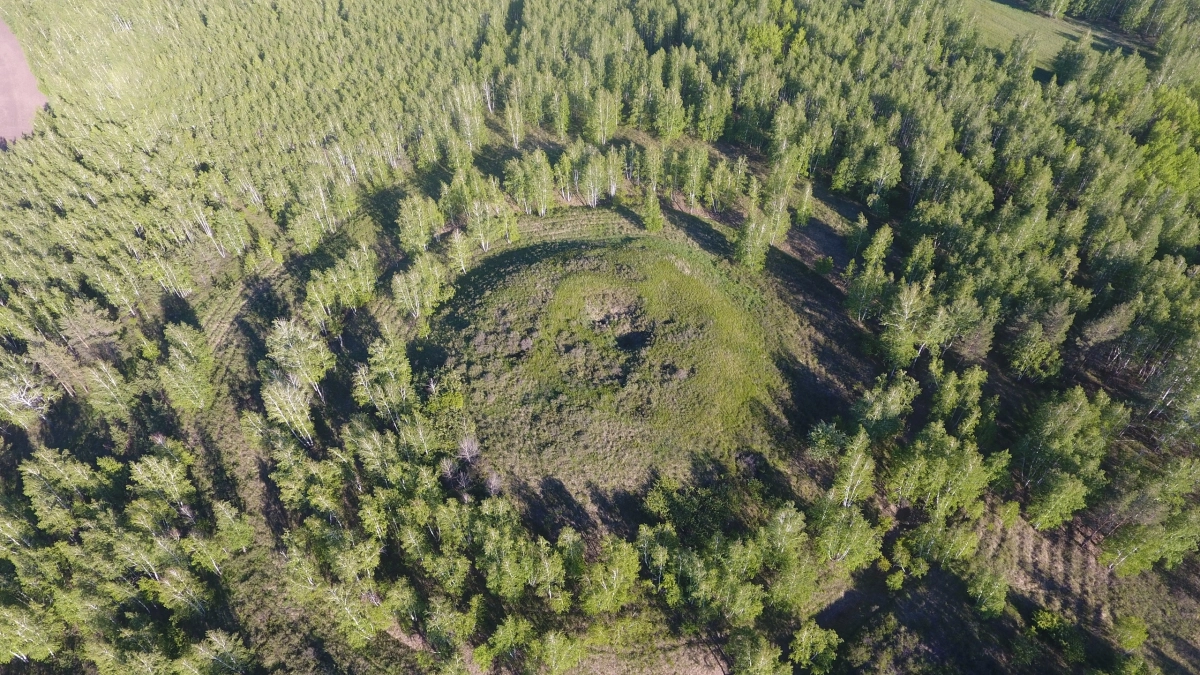 "Учёные бьют тревогу": вандалы начали раскопки на крупнейшем кургане Зауралья