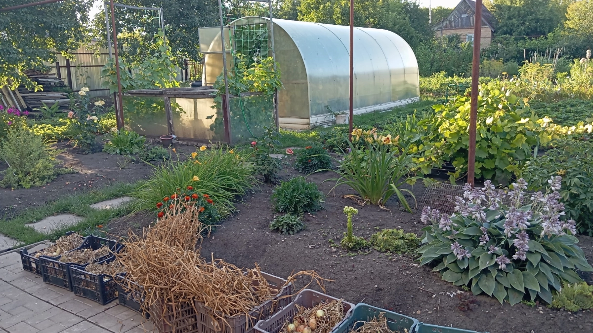 Штрафы до 20 000: назвали главные запреты для дачников в 2026 году - от чего придется отказаться