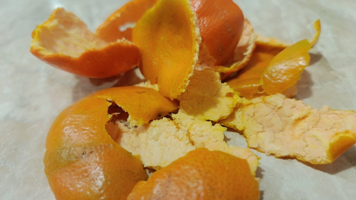 Раскидайте кожурки по огороду, и клещи даже не приблизятся: простое средство без химии, масел и растворов - сделайте в апреле