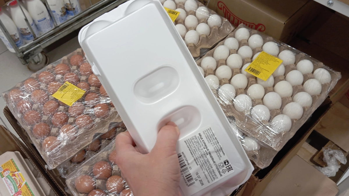 Яйца Д-категории через неделю превращаются в столовые: что означают буквы O, С, Д, В - эксперты Роскачества дали четкий ответ по выбору яиц 