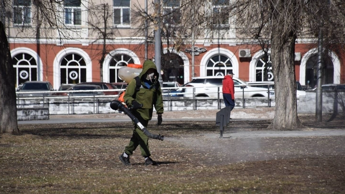 В Кургане во время обработки территорий от клещей будут закрыты парки и скверы