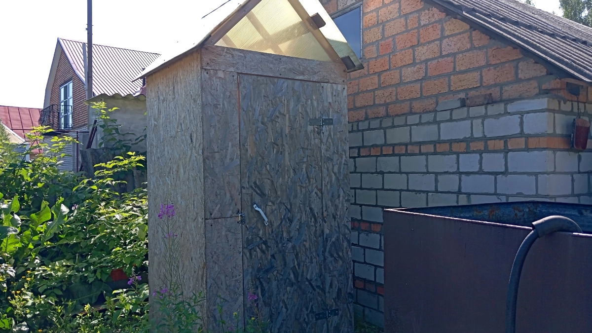 Слив на даче можно не откачивать годами: деревья-водохлебы высосут всю грязь и вонь из почвы - идеальны для посадки вблизи выгребной ямы