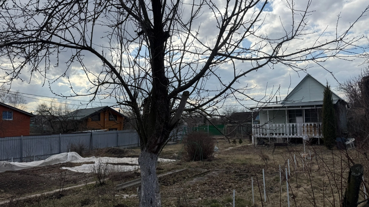 Новый закон для дачников: с соседями больше ругаться не придется - что изменилось