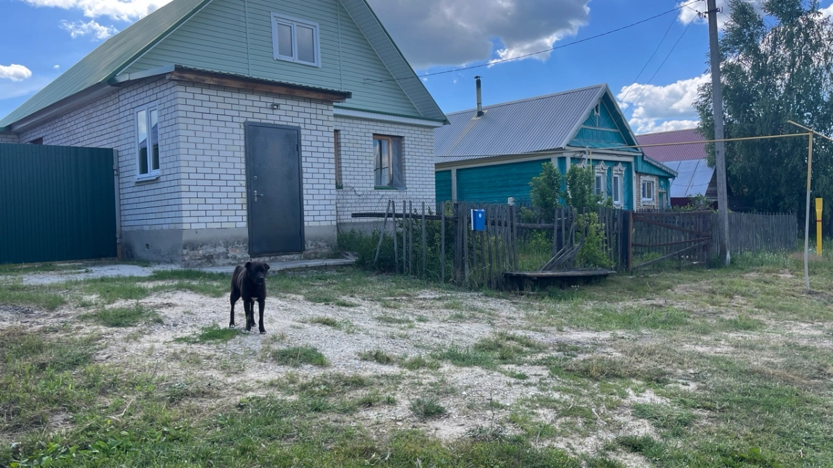 Паводок затопил участки домов в селе под Курганом