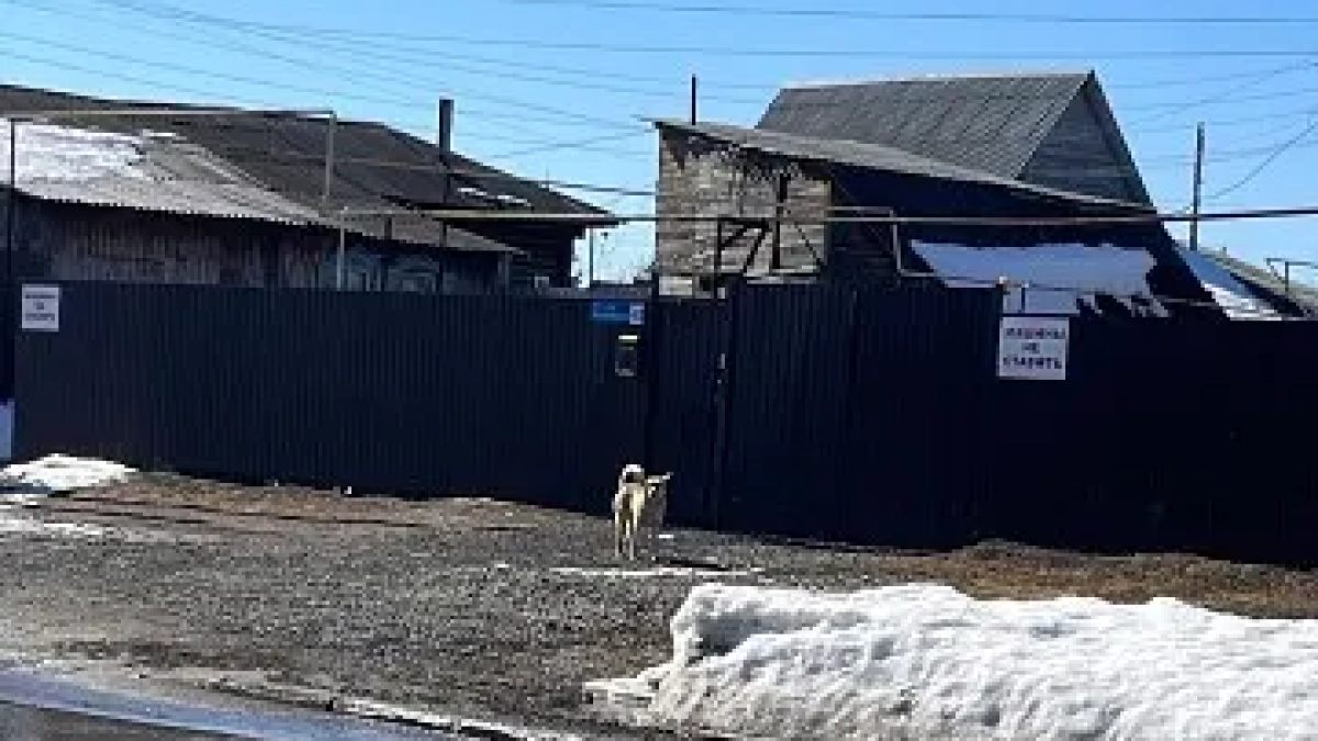 В Кургане загорелся проблемный заброшенный барак, где замерзла ветеран метеорологической службы