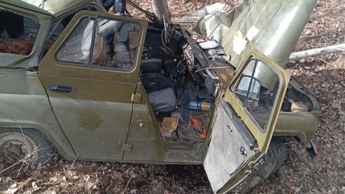 В Каргапольском округе пьяный водитель, не справившись с управлением, врезался в дерево