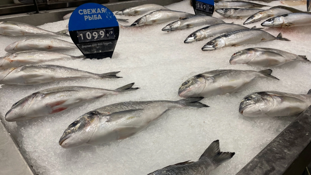 Стало известно, какой рыбы курганцы выловили больше всего с начала 2026 года