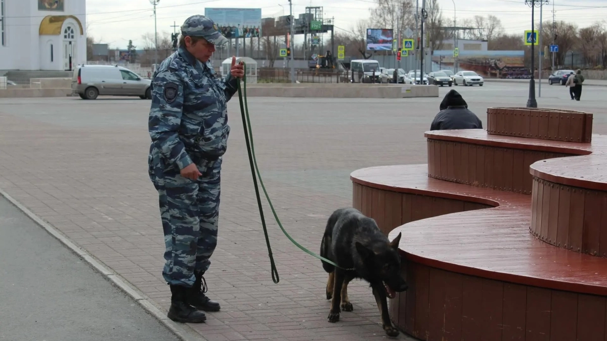 В Кургане кинологи с собаками будут охранять общественный порядок в День Победы