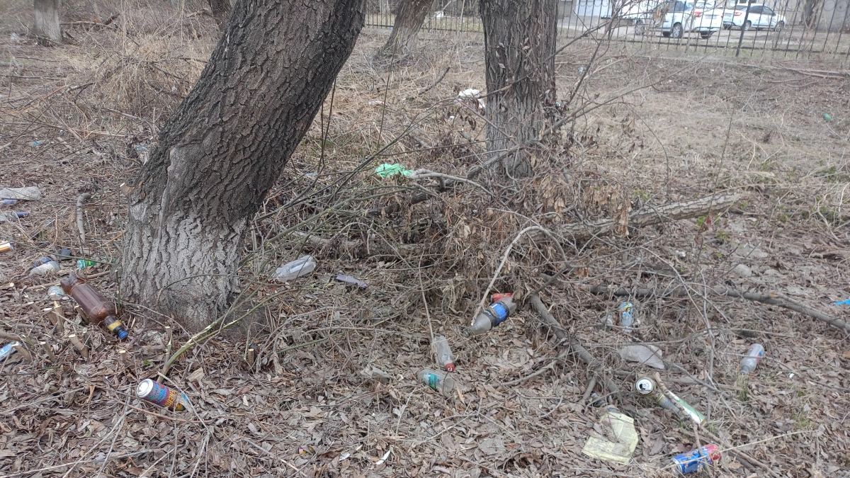 Химмаш тонет в мусоре: курганцы жалуются на захламление города