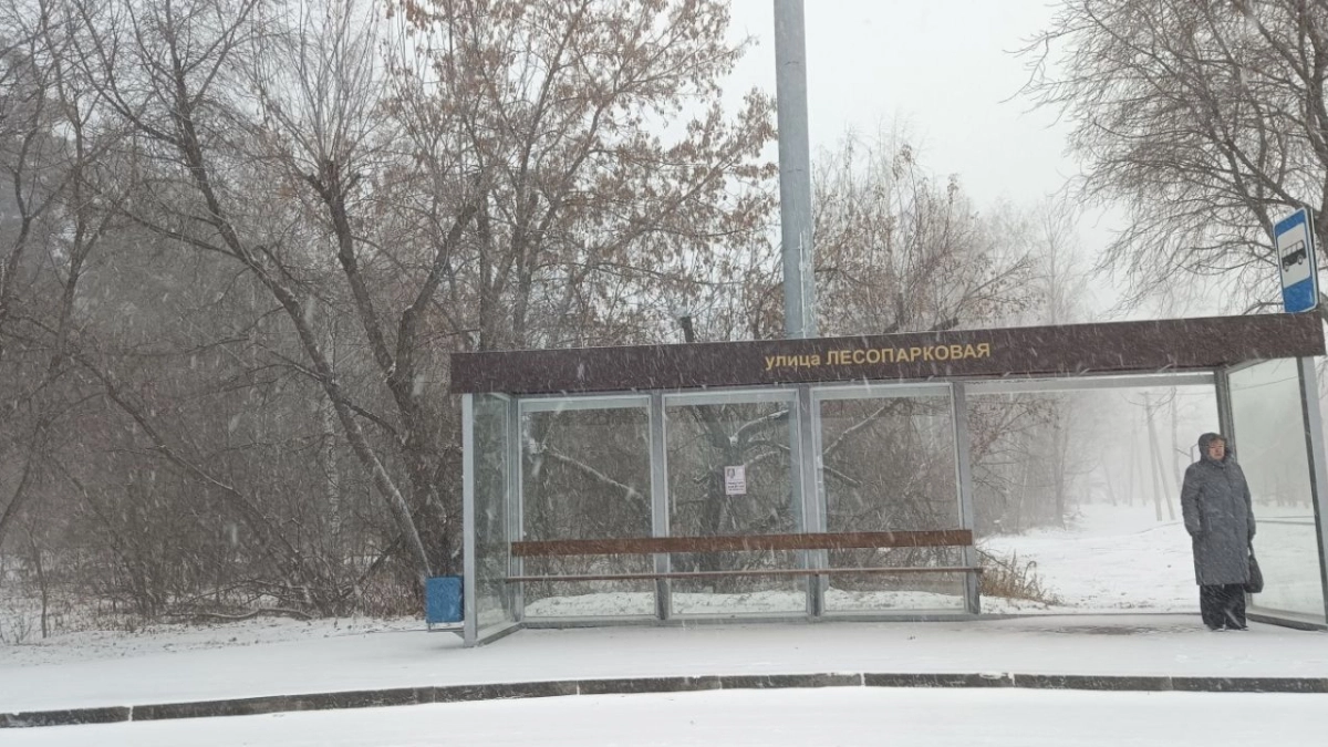 В Кургане переименуют остановку "Улица Лесопарковая"