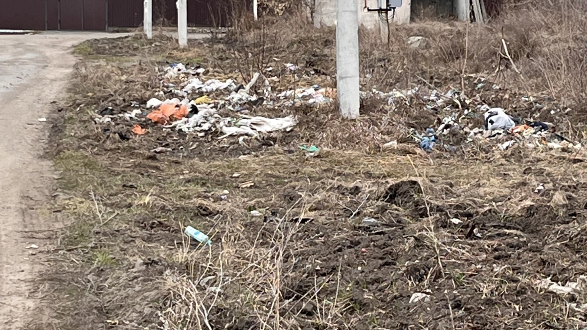 Дорога в одном из курганских СНТ утопает в мусоре: жители просят о помощи