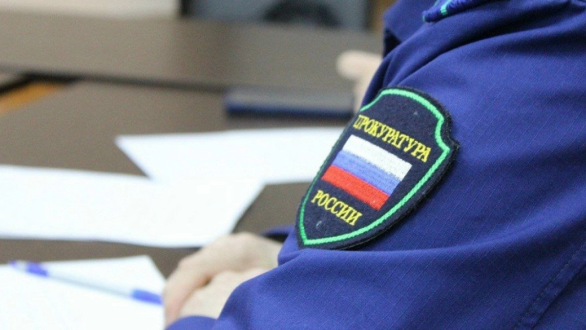 Житель Шадринска предстанет перед судом за незаконную продажу контрафакта на 6,1 млн рублей