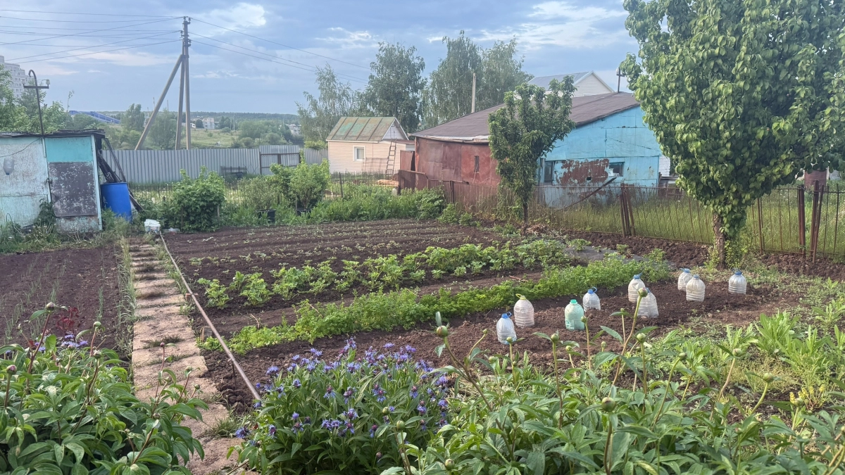 Нашли "Ахиллесову пяту" самого гнустного сорняка на участке: кусок ткани и весь пырей вывелся за сезон