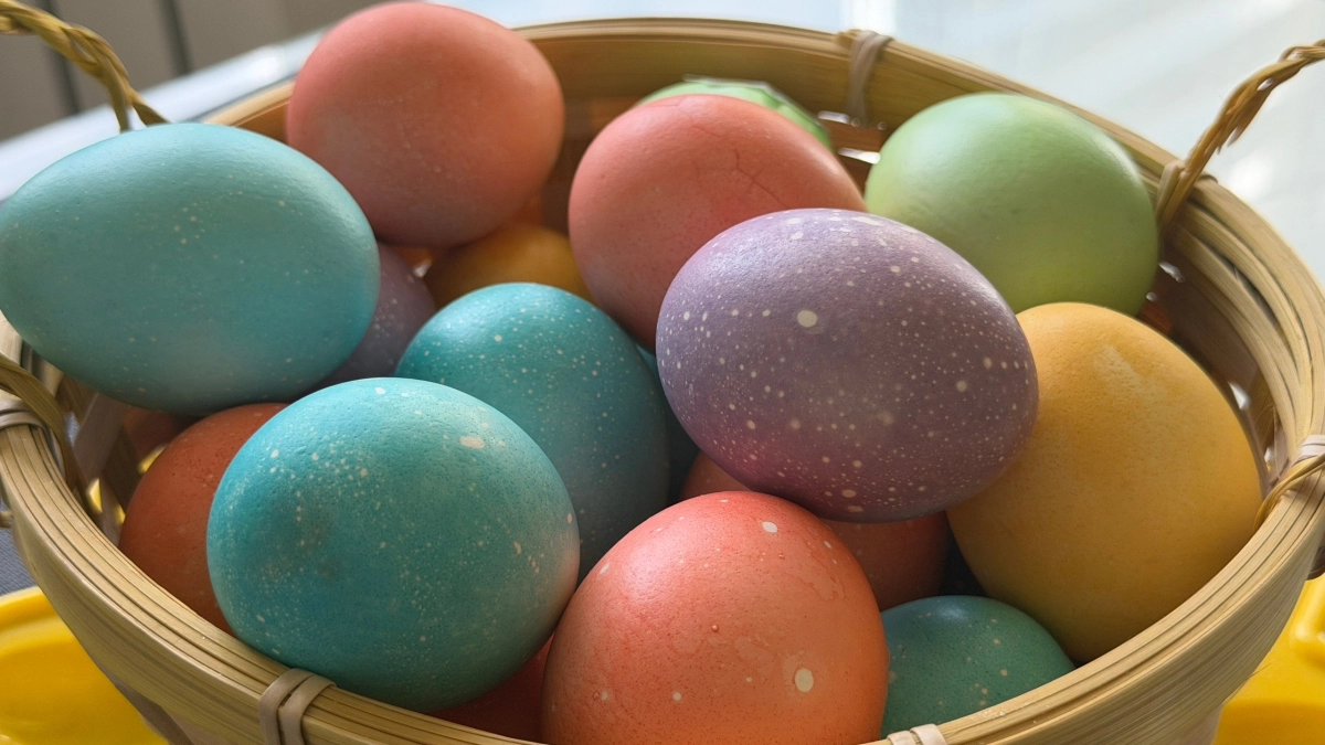 В Кургане взлетели цены на яйца, но подешевели огурцы и лук