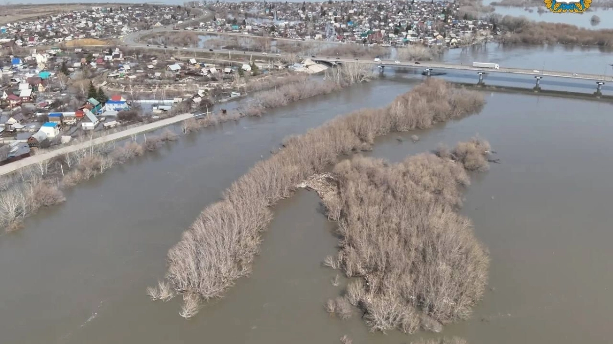 В Зауралье вода начала разливаться широким фронтом по пойме Тобола