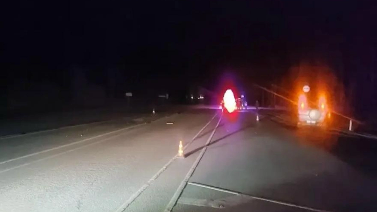 В Курганской области 37-летнего женщина в темноте попала под колеса и погибла