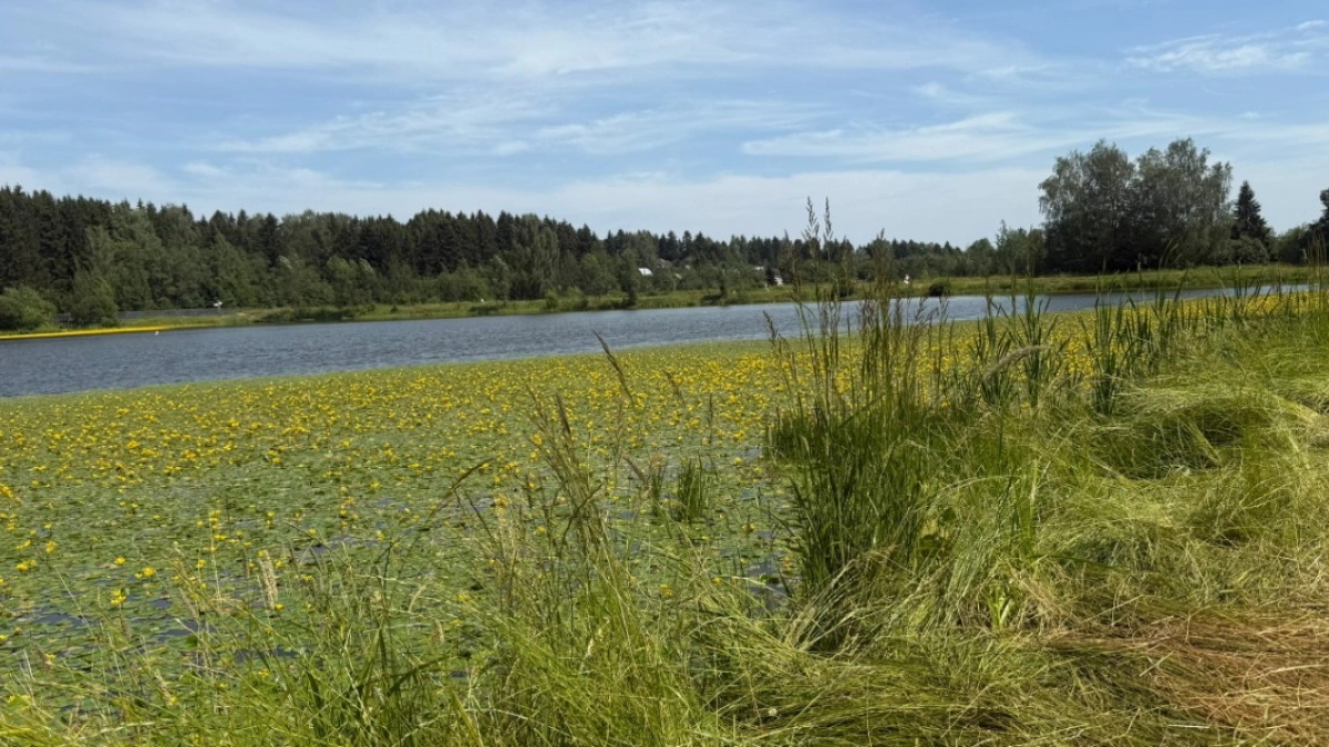 В Курганской области синоптики заметили первые признаки засухи