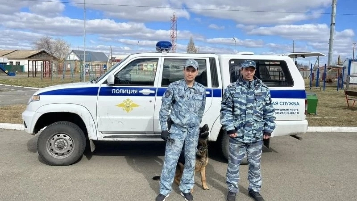 Курганская полиция за два дня поймала 30 преступников