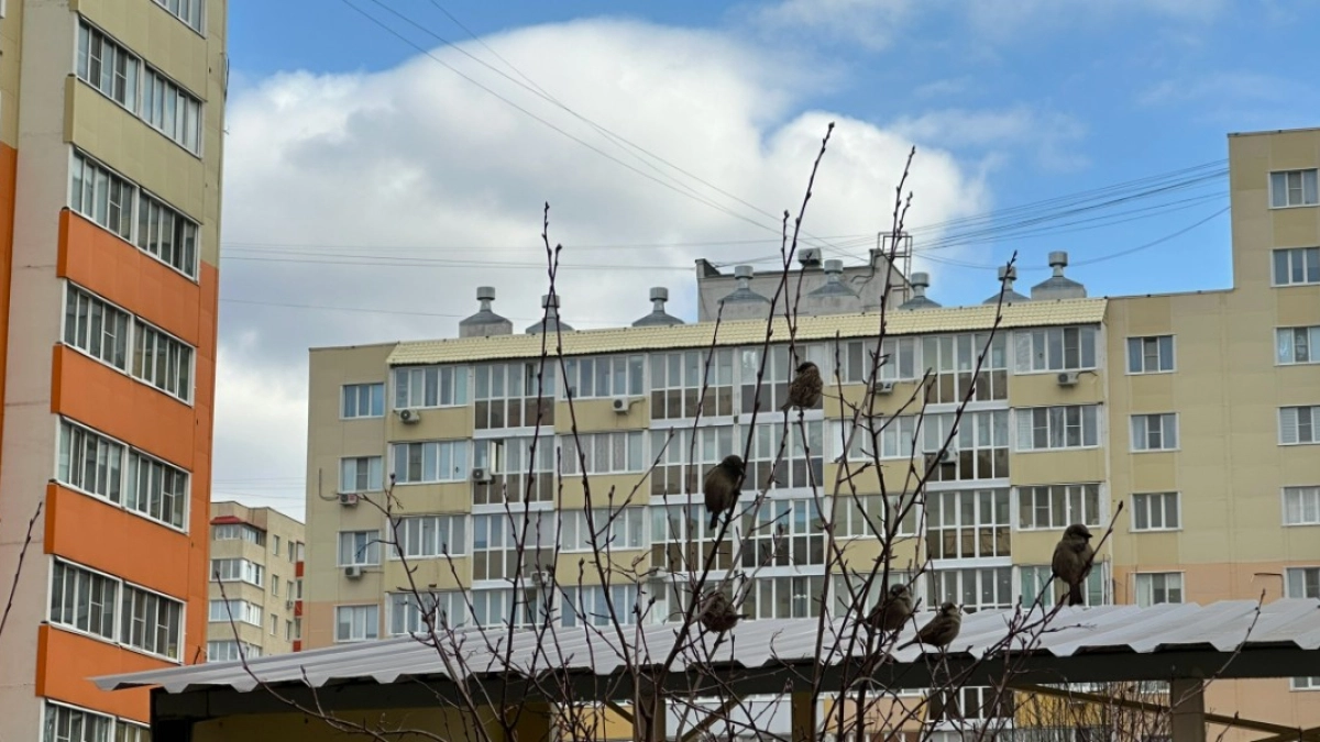 В Кургане следователи организовали проверку по факту нарушения прав жильцов МКД