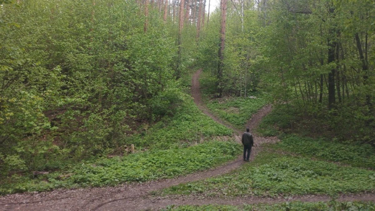 В Курганской области с 22 апреля вводится запрет на посещение лесов 