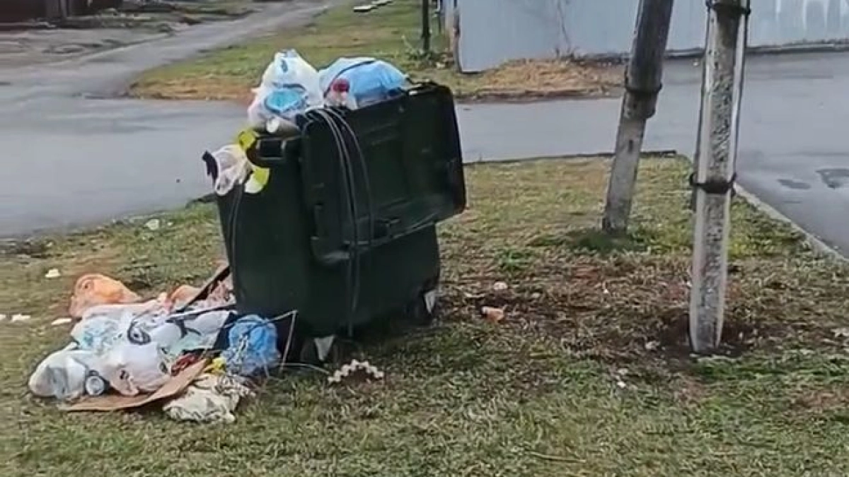 На одной из улиц Кургана неделями не вывозится мусор: местные жители бьют тревогу