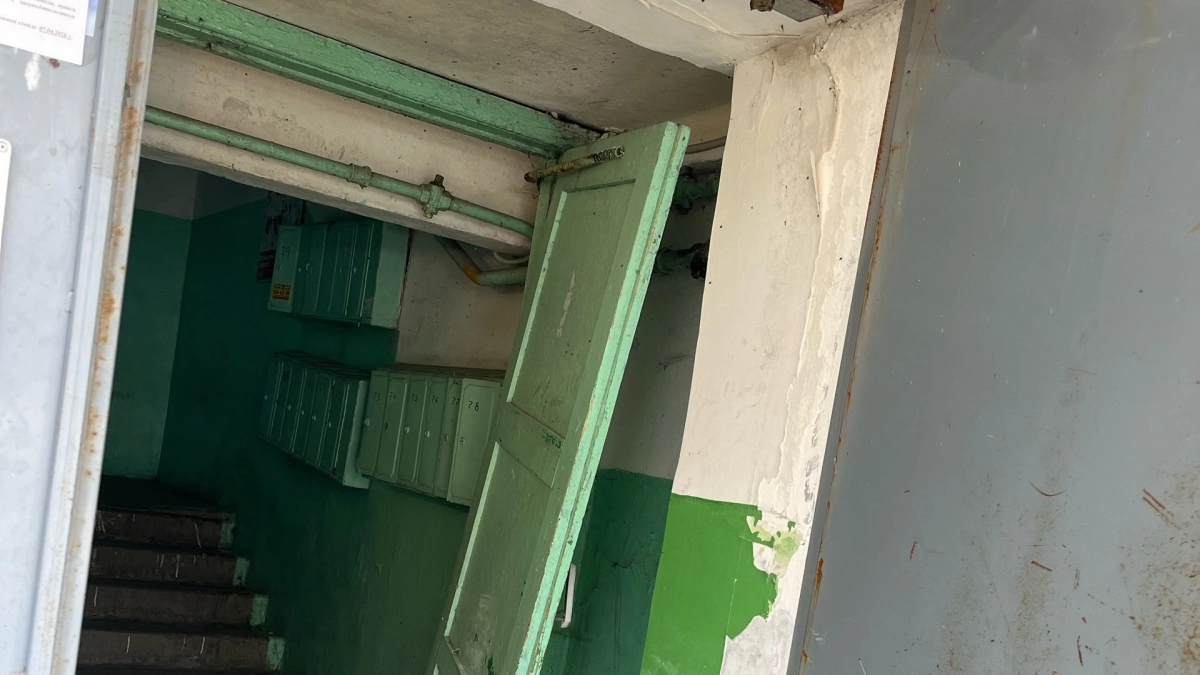 "Дышать нечем, всё в жуках": в Кургане жильцы одного из домов умоляют о помощи, а управляющая компания бездействует