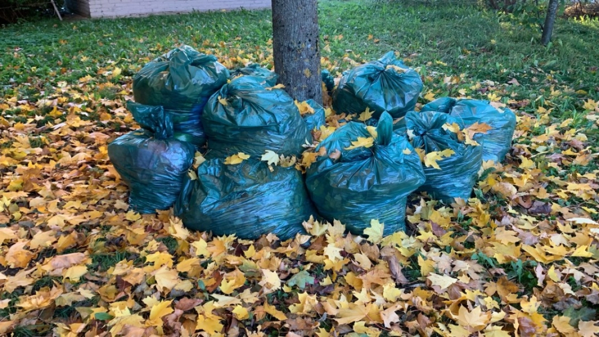 Жителей Кургана приглашают стать участниками Всероссийского субботника