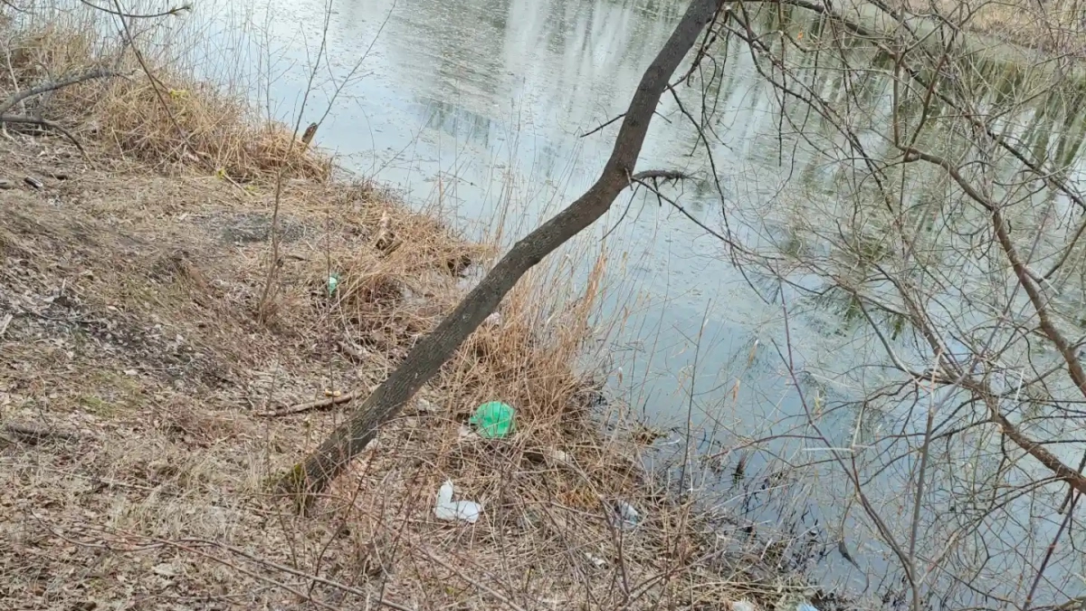 Курганцы возмущены горами мусора на берегу реки Битёвки около ЦПКиО