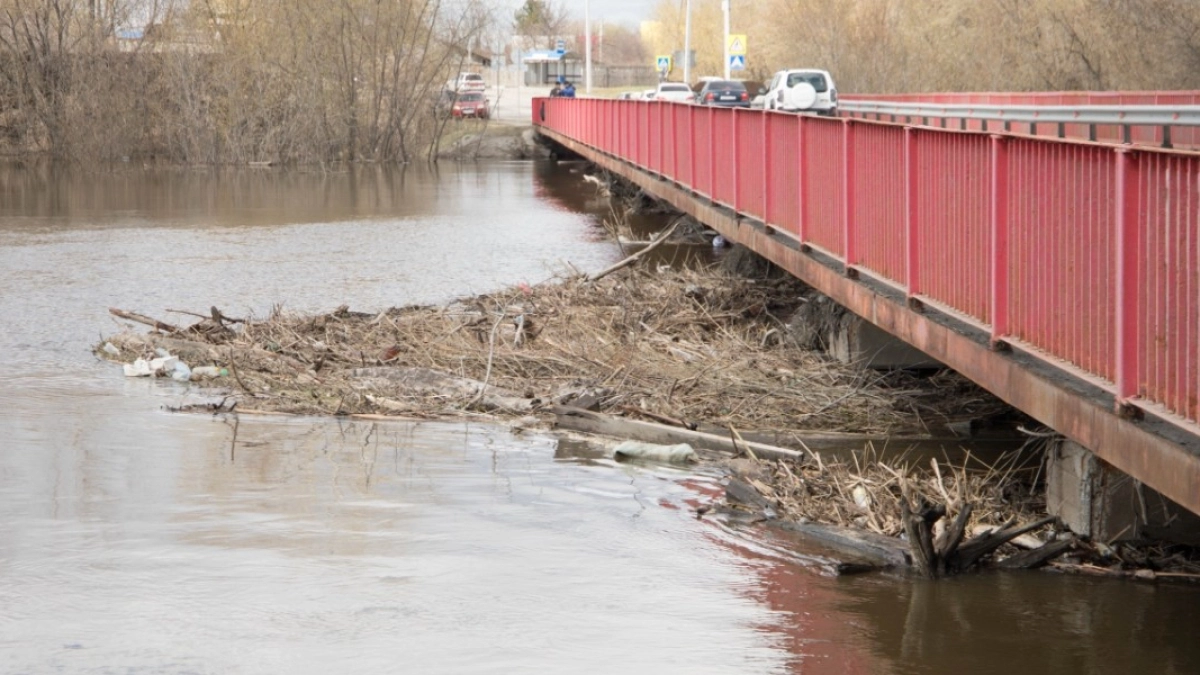 В Кургане организуют регулярный мониторинг состояния поймы р. Тобол