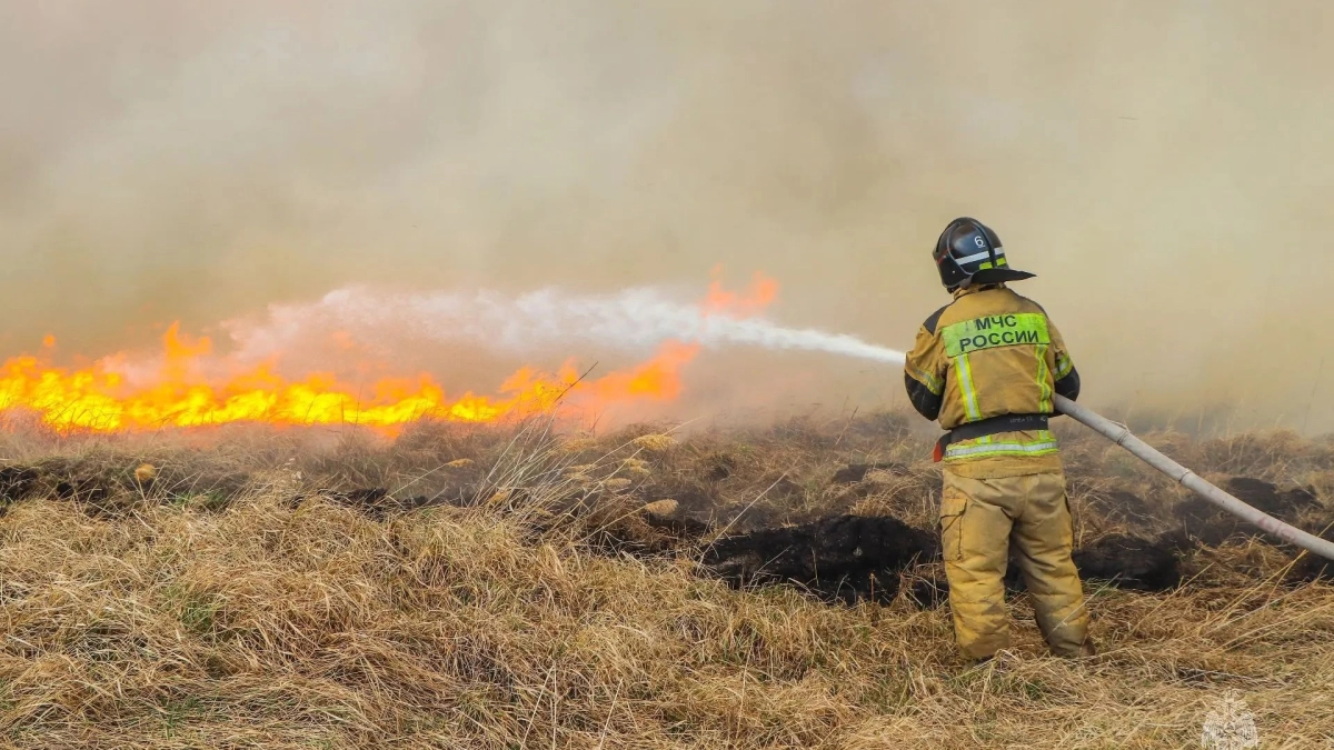 В Курганской области 9 человек привлекли к ответственности за поджог сухой травы 