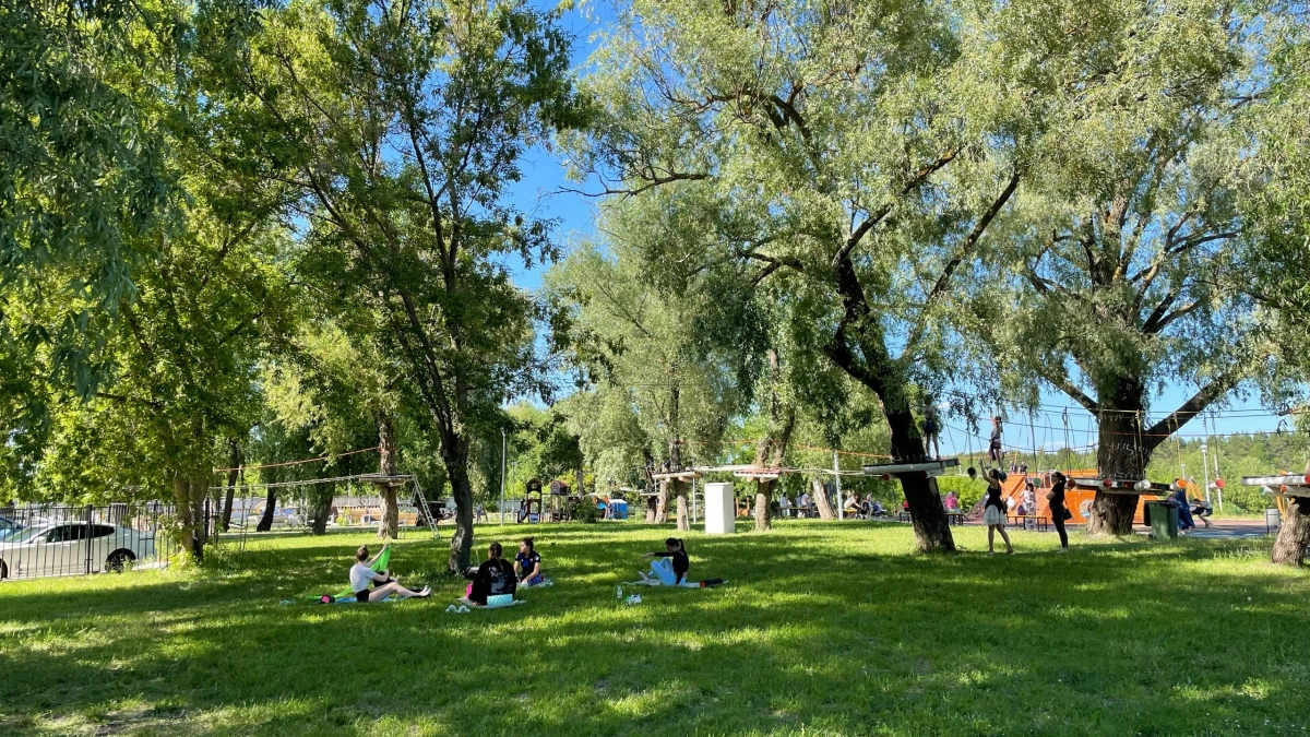 В мае в Заозерном откроется веревочный городок