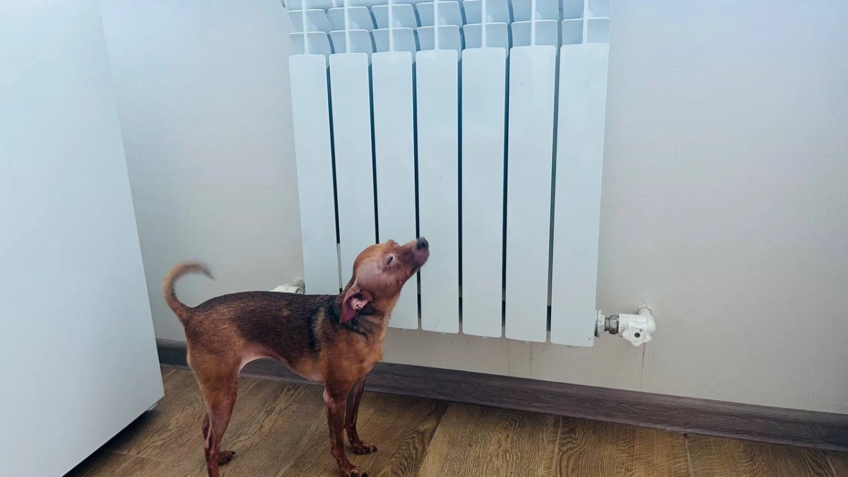 Стало известно, когда в Кургане отключат отопление