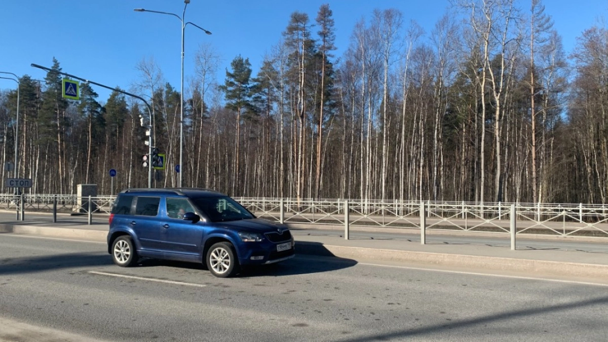 В Кетовском округе в результате наезда на лося пострадала 30-летняя женщина